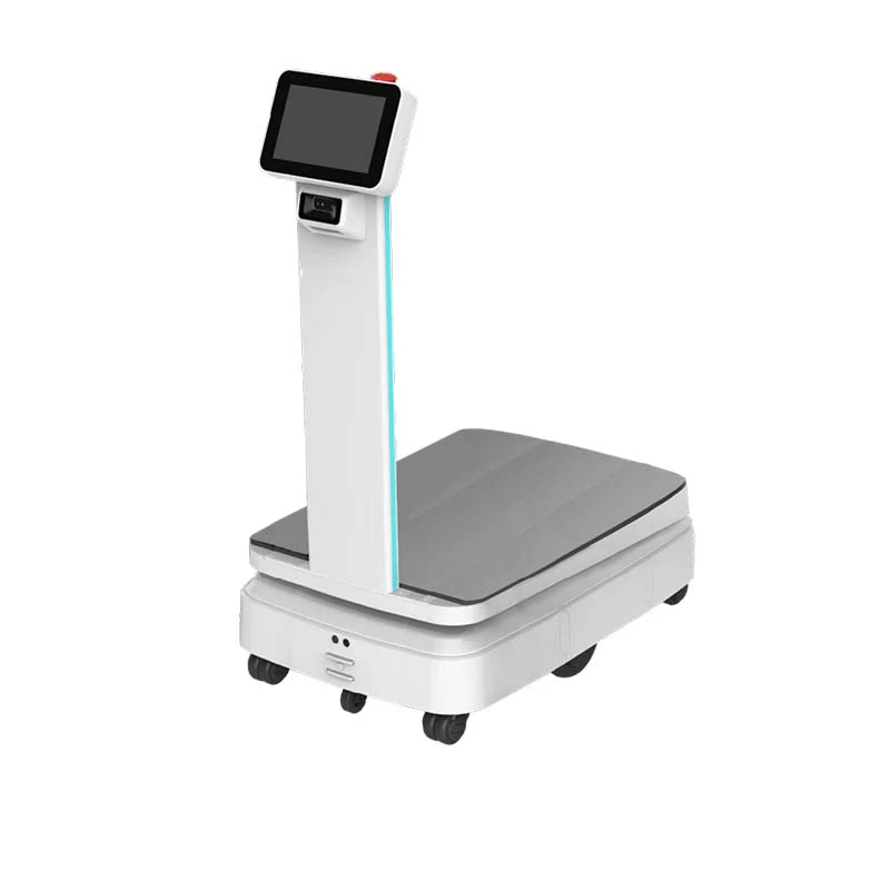 Robot Seachadta Tionscail Móra